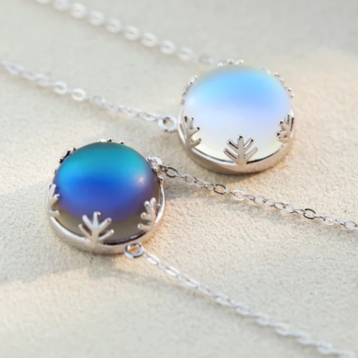 72103357_2324036871240661_5984365924235345920_n_720x