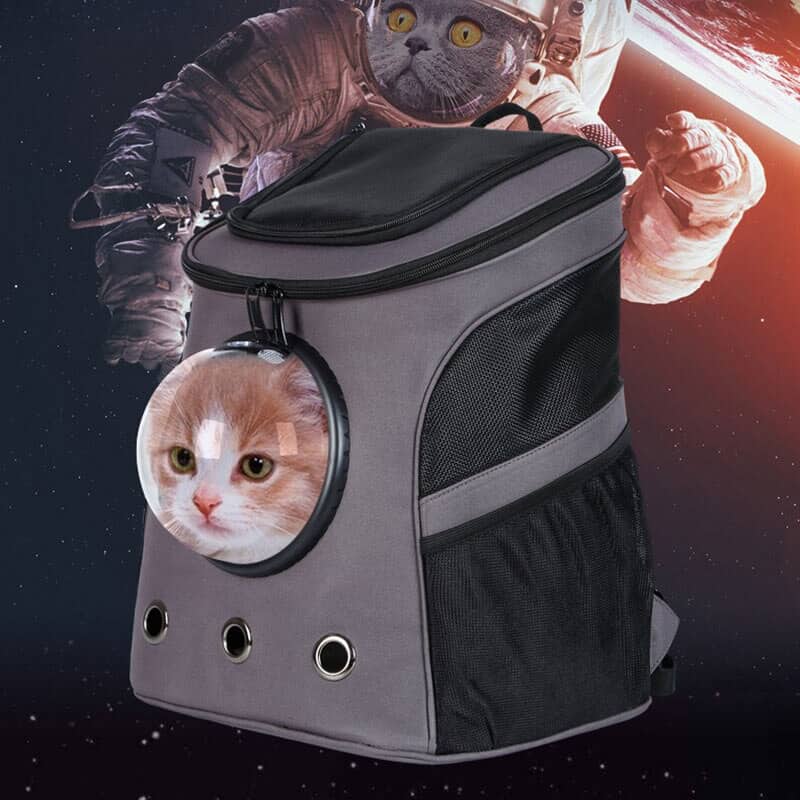 The Fat Cat Cat Backpack - for Larger Cats