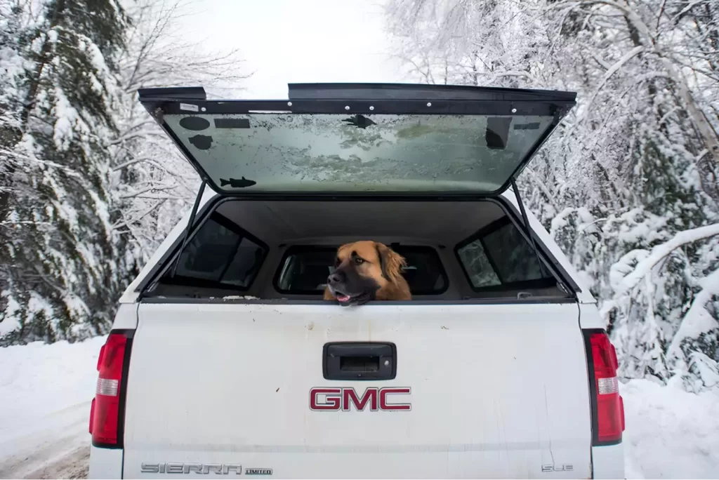 Dog Back Seat Cover for GMC Sierra