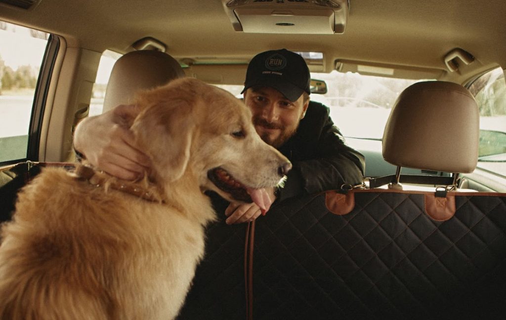 subaru forester dog seat cover