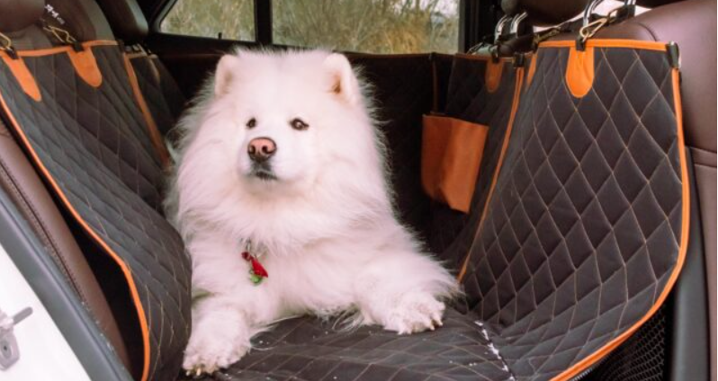 pet seat covers for trucks