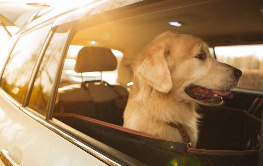 porsche cayenne dog seat cover