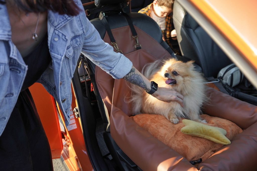 pet carpool seat