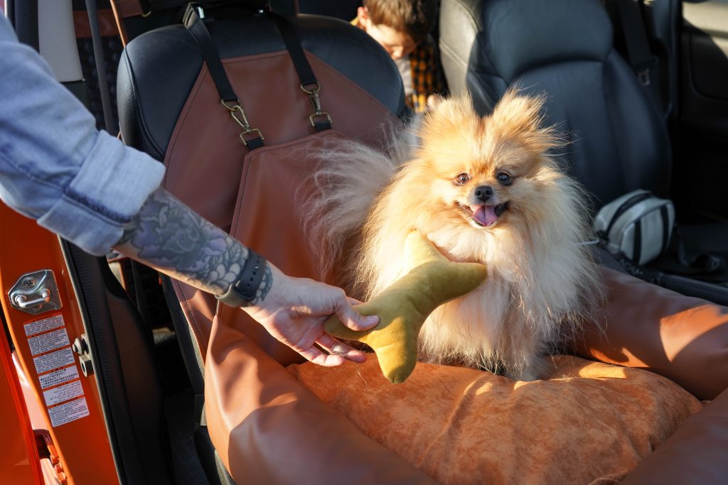 extra small dog car seat