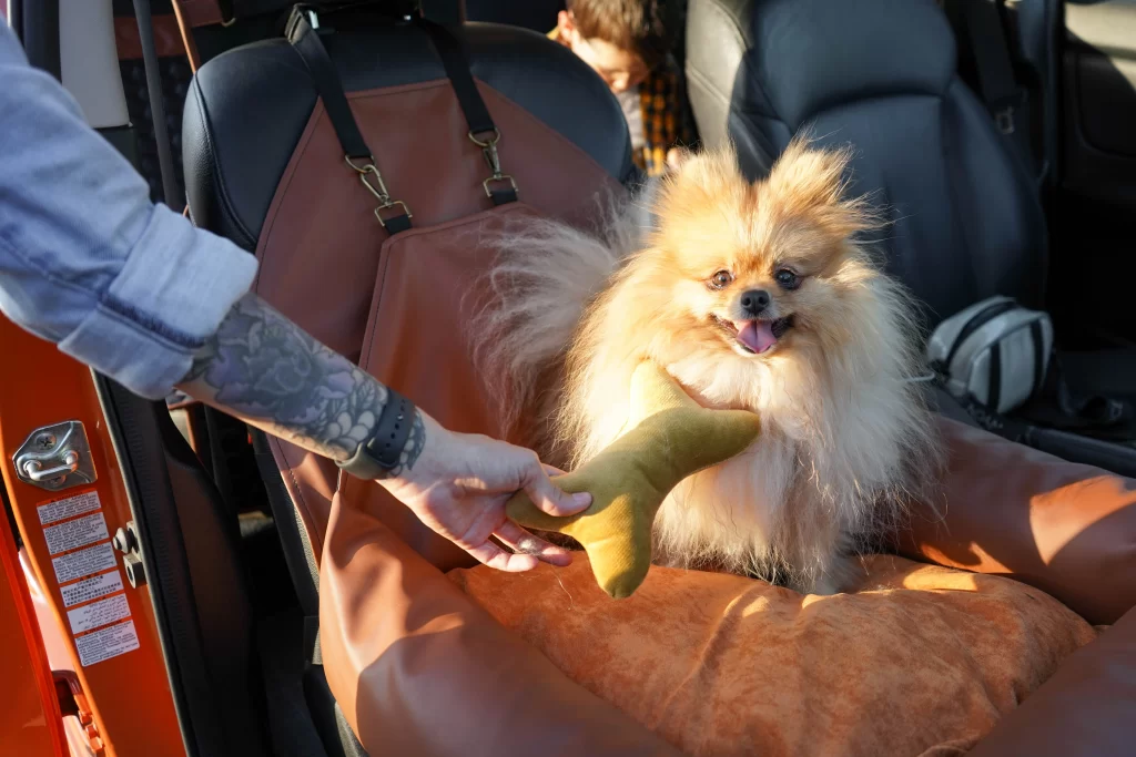 Ram Truck Dog Car Seat for Pomeranians