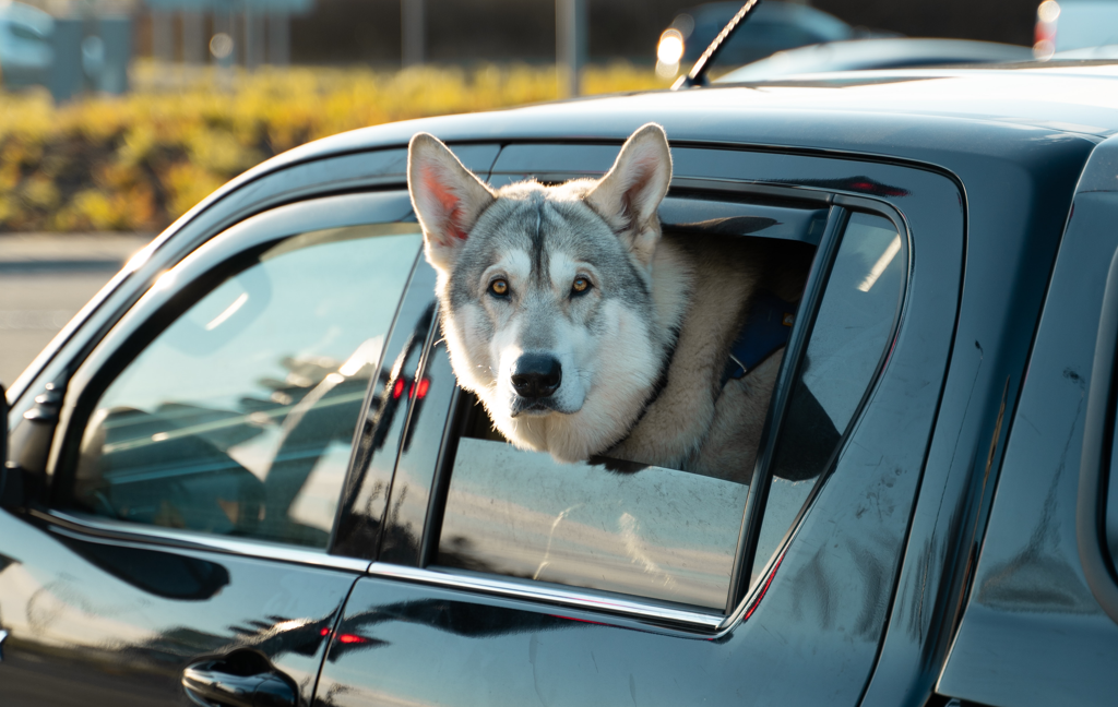 husky seat cover