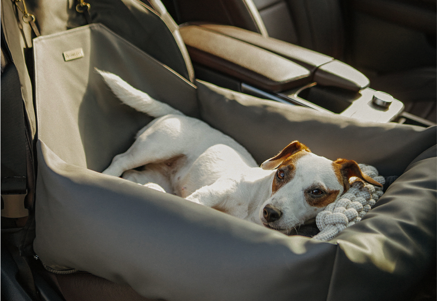 Pug Car Seat