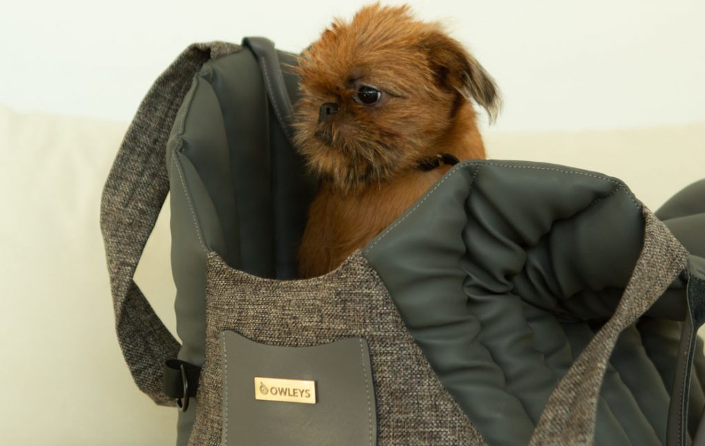 backpacks to carry dogs