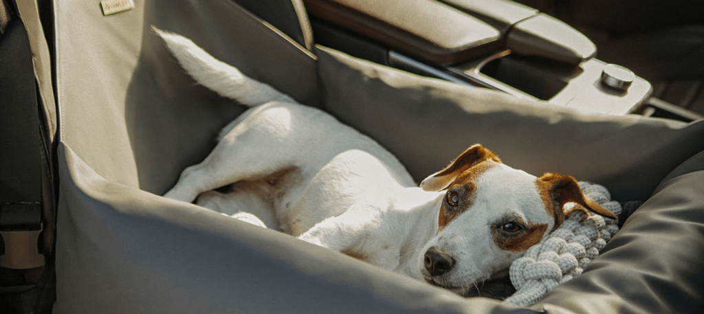 animal car seat
