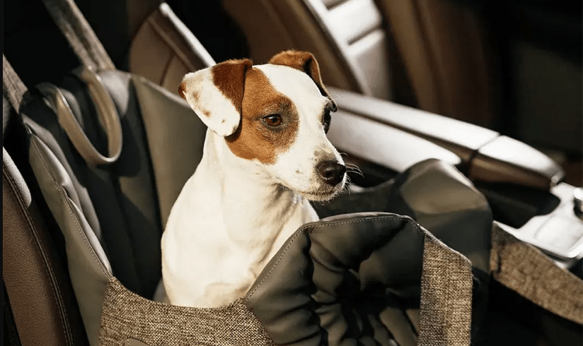 BMW X3 Dog Seat Cover