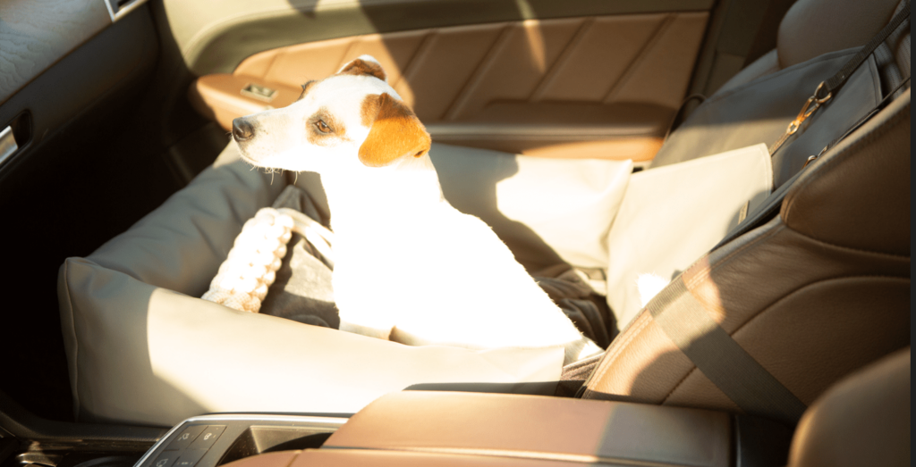 dog car seat for convertible