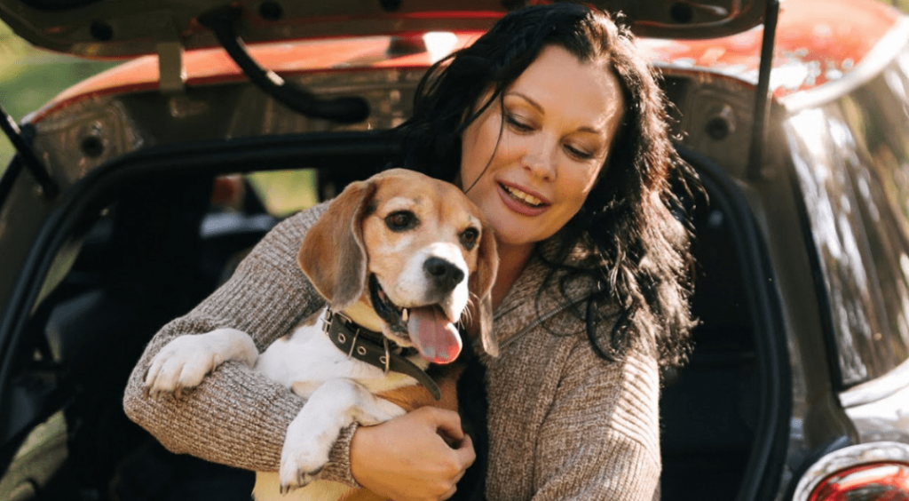 pet carpool seat 