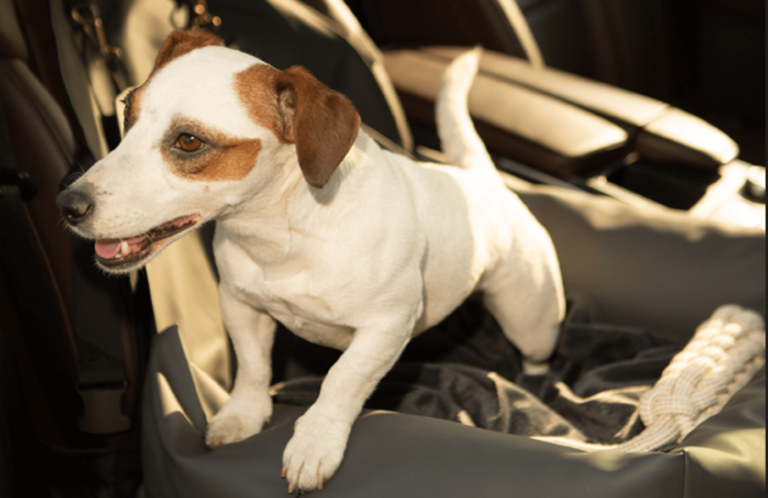 pet carpool seat 