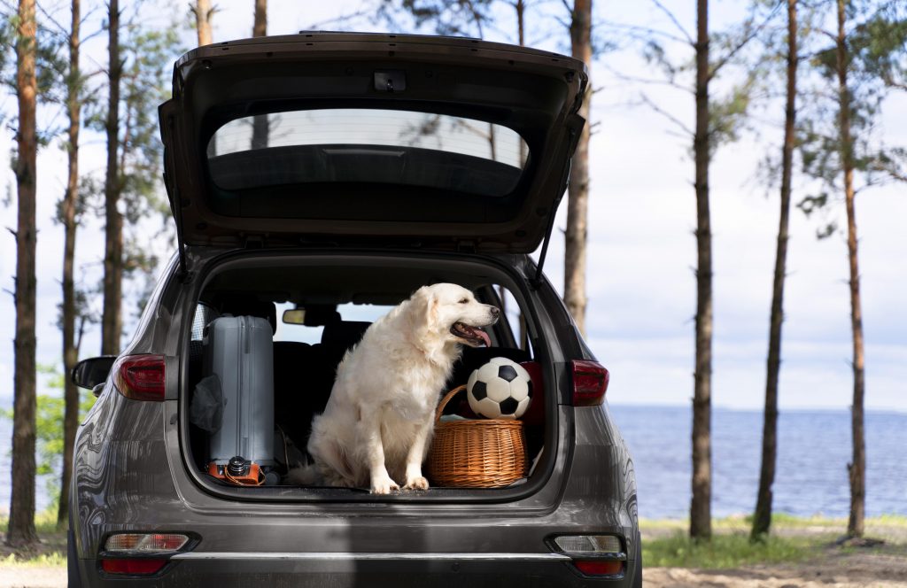 luxury dog car seats