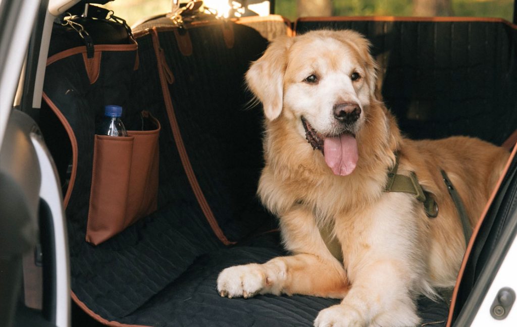 jeep gladiator dog seat covers