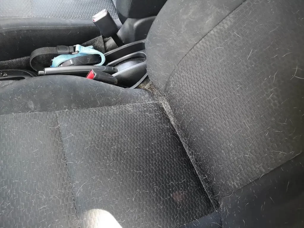 Honda Civic Back Seat Cover for Boxers