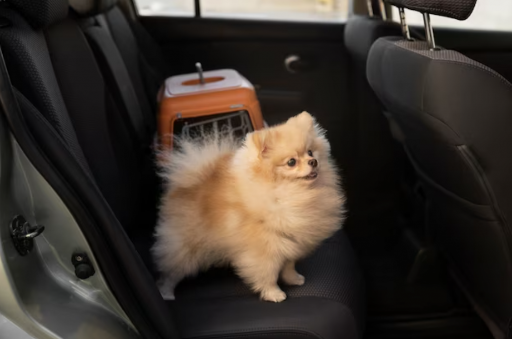 Pug Car Seat