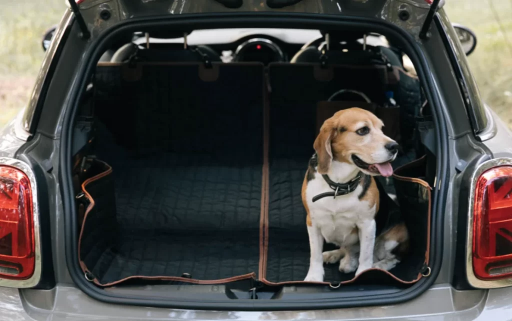 Beagle Seat Cover