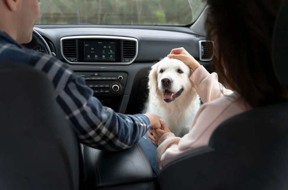 Labrador Retriever Seat Cover
