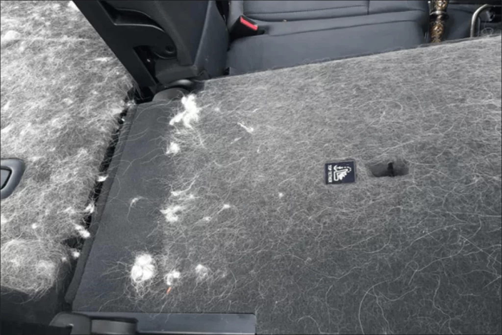 Chevrolet Equinox back seat cover for St. Bernards