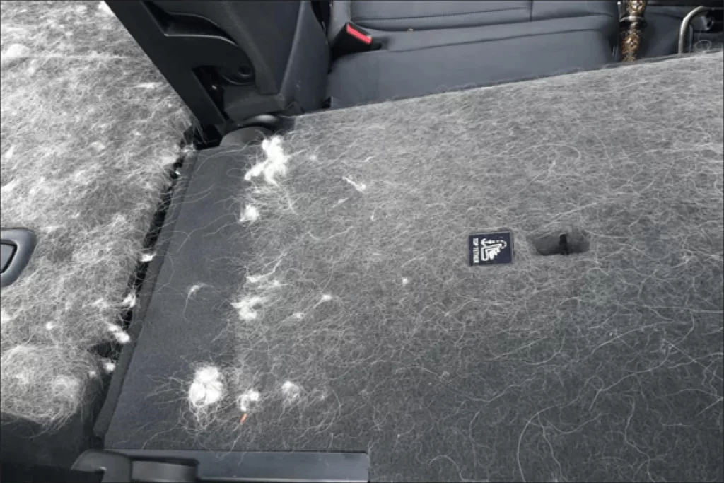 Chevrolet Traverse Back Seat Cover for Chow Chows