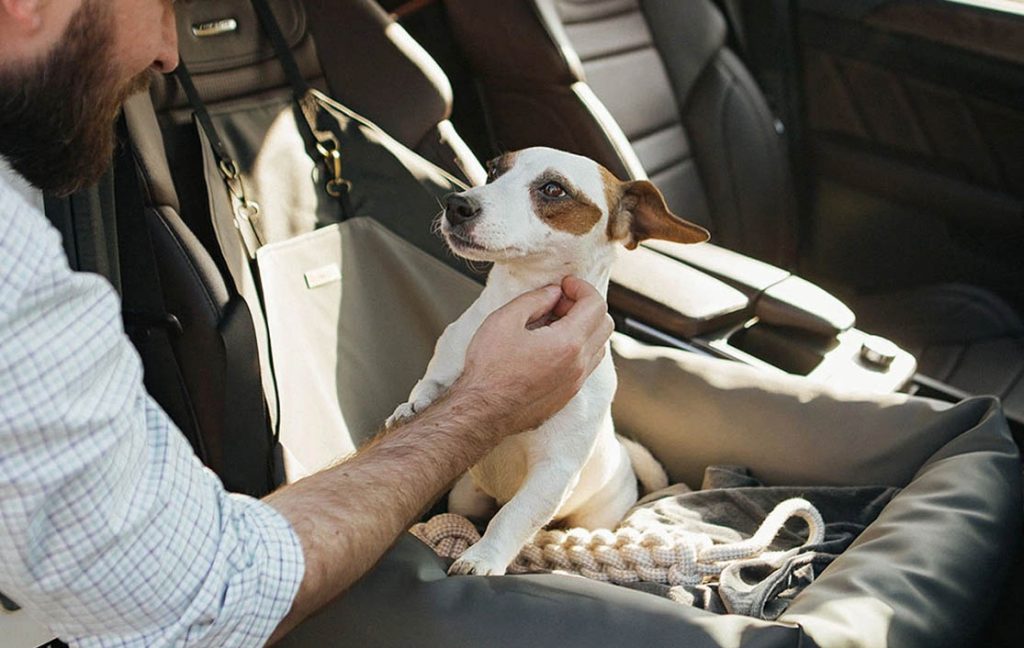  Luxury Dog Car Seats
