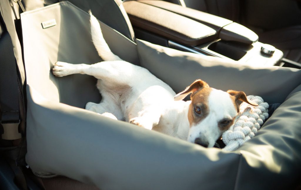 pet carpool seat 