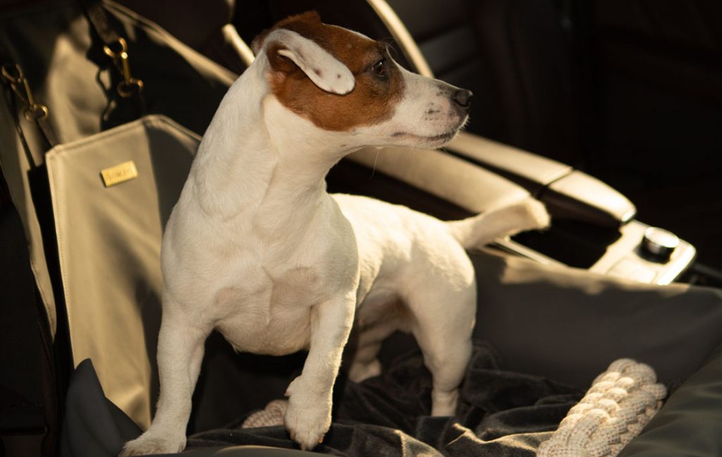 dog car seat for convertible