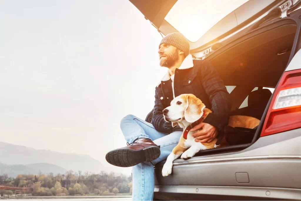 Toyota Highlander Dog Safety Belt for Beagles