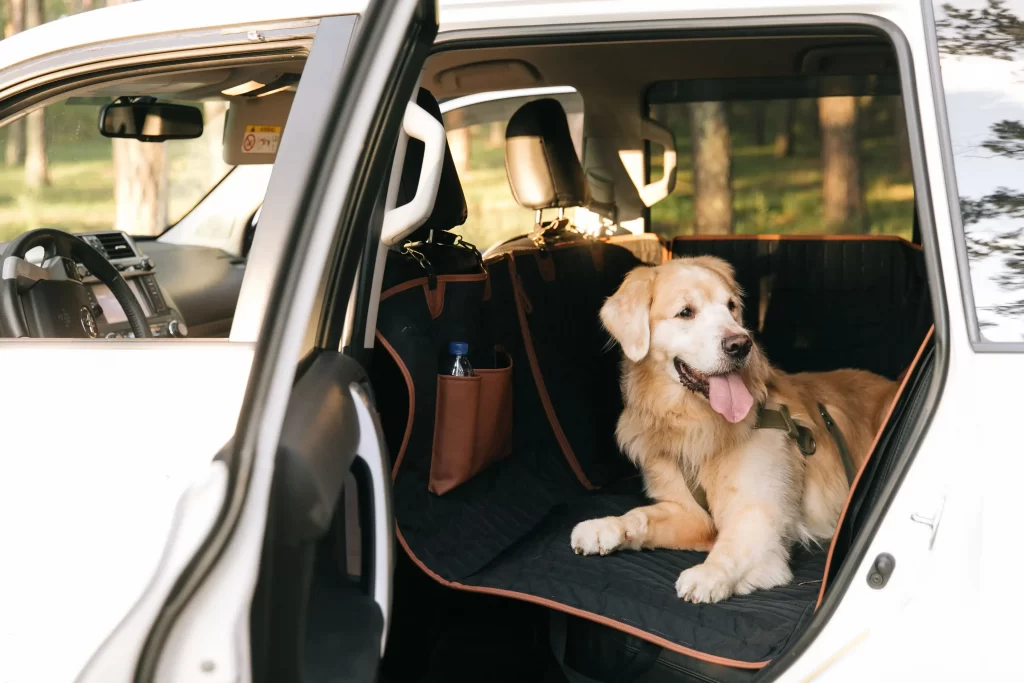 Dog Back Seat Cover for Chevrolet Silverado